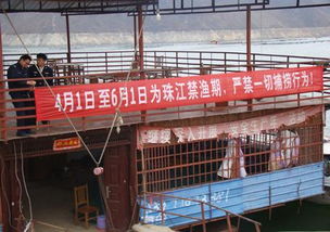 縣畜牧局多措并舉 強化禁漁期畜牧漁業飼料銷售管理