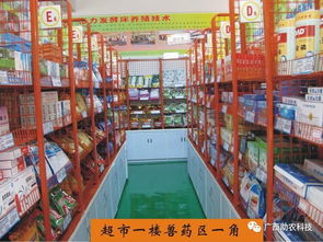 發酵床生態養牛全鏈條技術賦能 廣西助農公司一站式解決方案